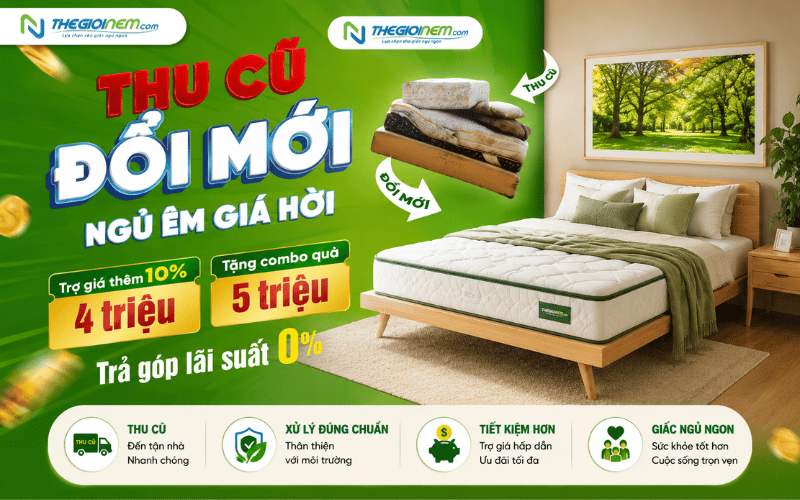 Chính sách thu cũ đổi mới tại thế giới nệm