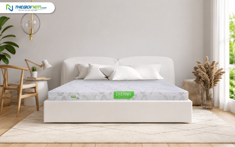 Nệm cao su thiên nhiên TATANA Standard