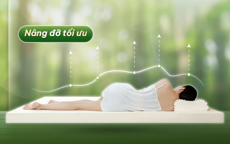 Nệm cao su Kim Cương nâng đỡ cơ thể theo từng vùng