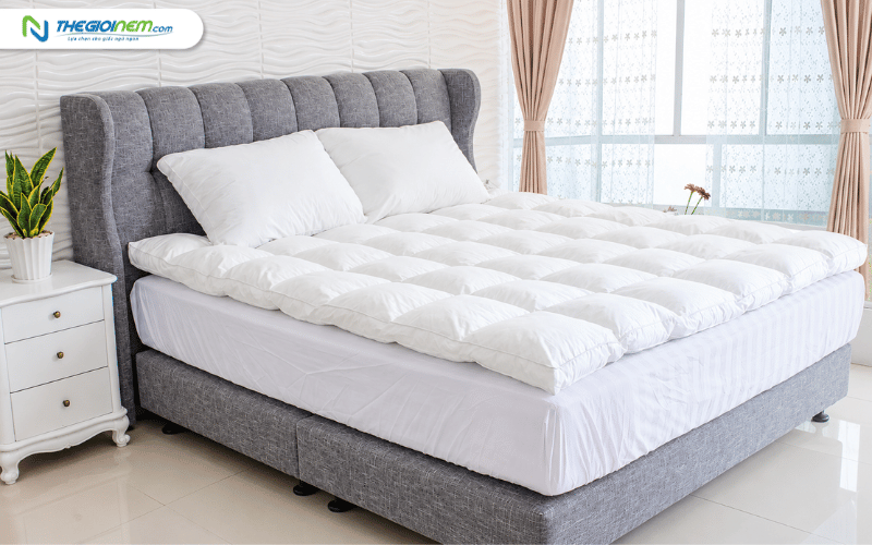 Topper nệm lông vũ Ưu Việt