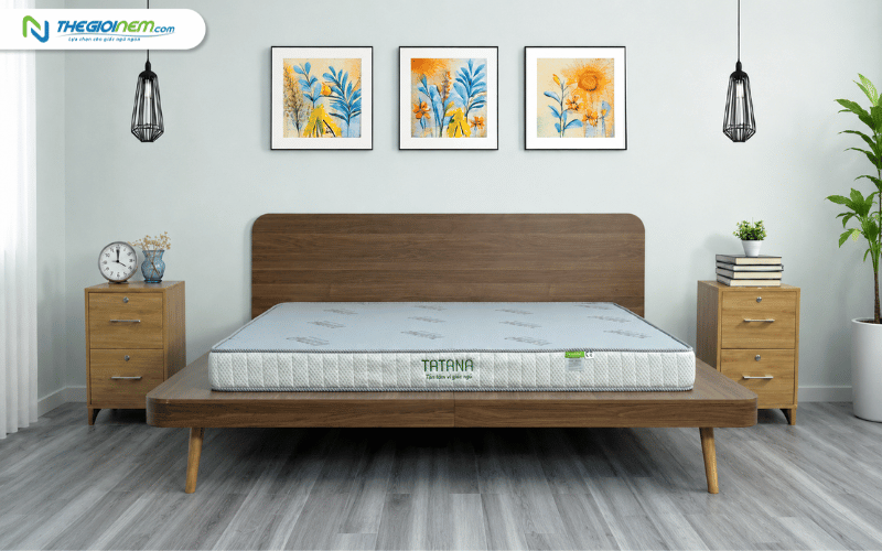Nệm ép dẻo TATANA