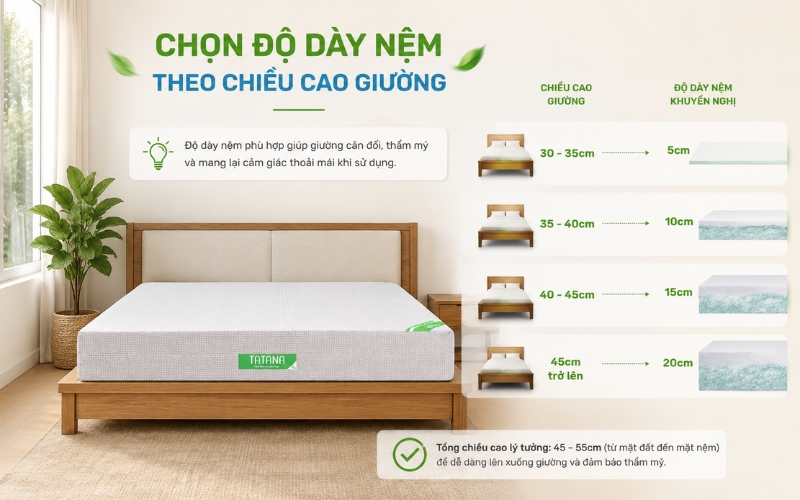 Cách chọn độ dày nệm bông ép thẳng phù hợp