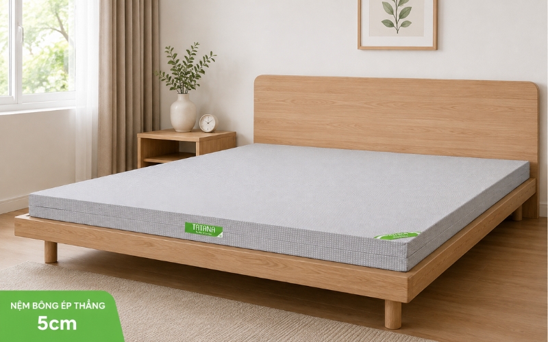 Nệm bông ép thẳng 5cm mỏng nhẹ cho phòng trọ