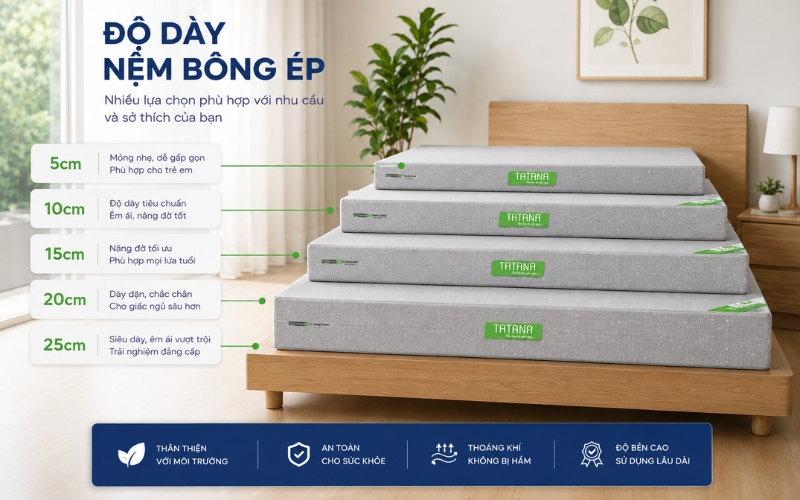 Nệm bông ép có độ dày đa dạng