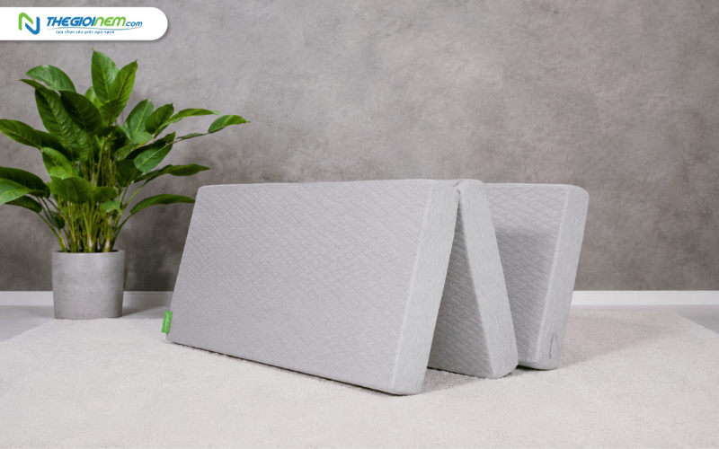 Nệm bông ép gấp 3 Eco Cool TATANA