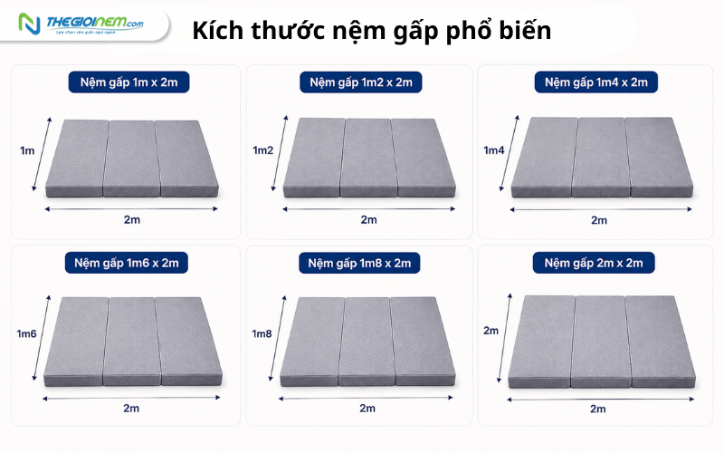 Minh họa nệm gấp 1m, 1m2, 1m4, 1m6, 1m8 và 2m