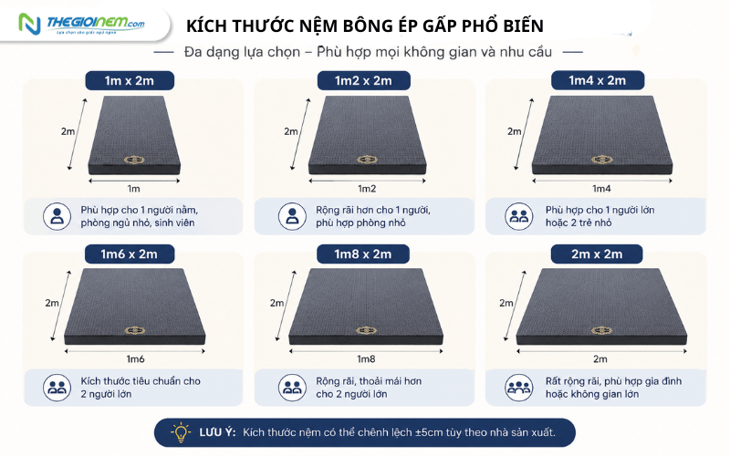 Các kích thước nệm bông ép gấp 1m 1m2 1m4 1m6 1m8 2m phổ biến
