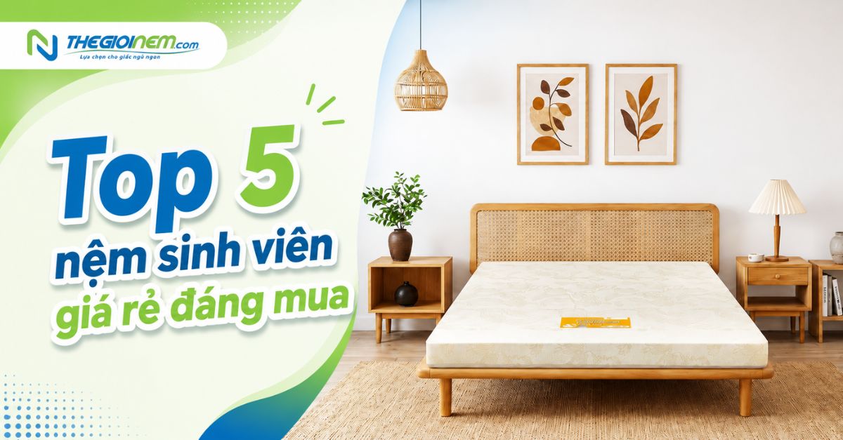 Top 5 nệm bông ép giá rẻ dành cho sinh viên đáng mua  1