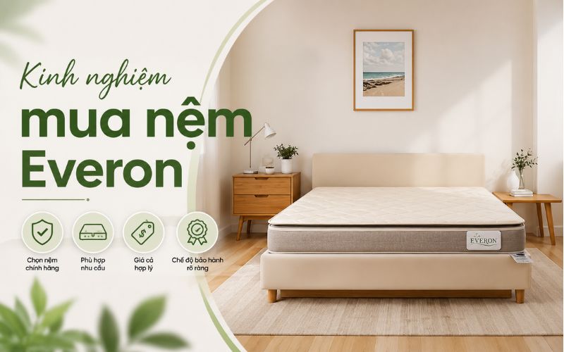 Kinh nghiệm mua nệm Everon