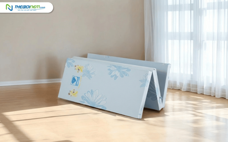 Nệm bông ép Kim Cương Acness