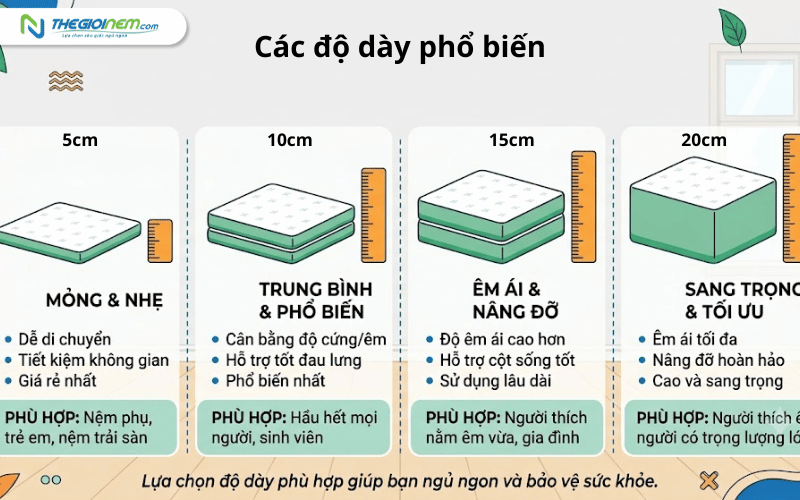 So sánh nệm bông ép gấp 5cm 10cm 15cm 20cm
