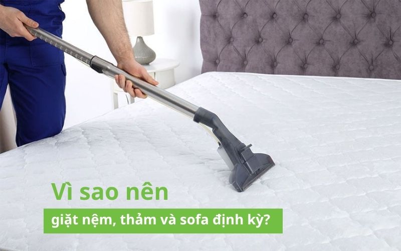 Vì sao nên giặt nệm thảm sofa định kỳ?