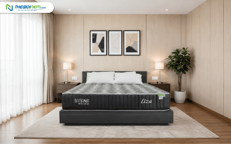 TATANA Nệm lò xo liên kết Liza