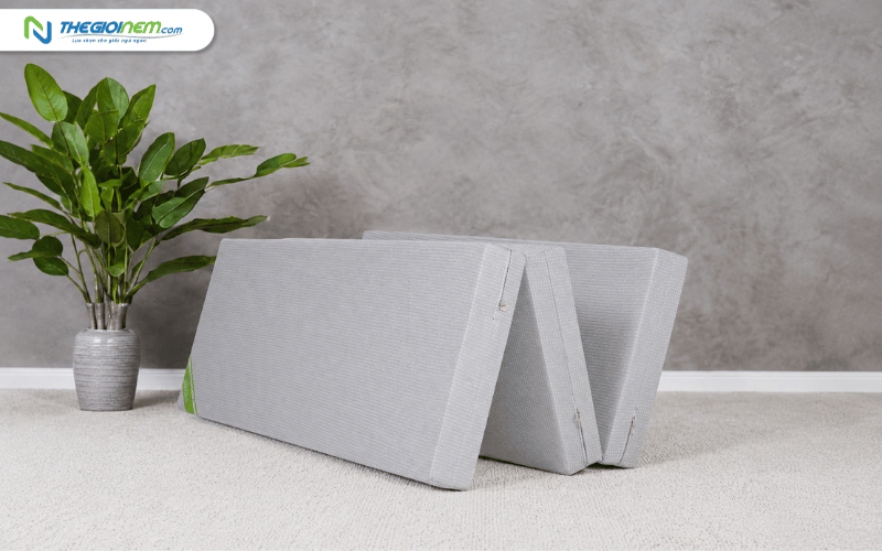 Nệm bông ép gấp 3 Eco Cool TATANA