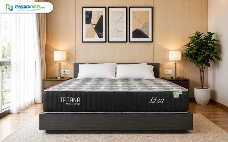 TATANA Nệm lò xo liên kết Liza