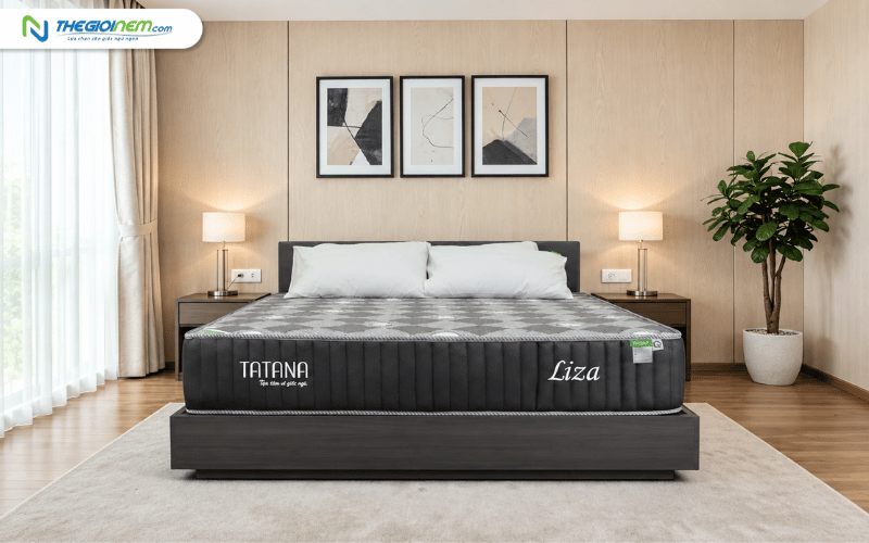 TATANA Nệm lò xo liên kết Liza