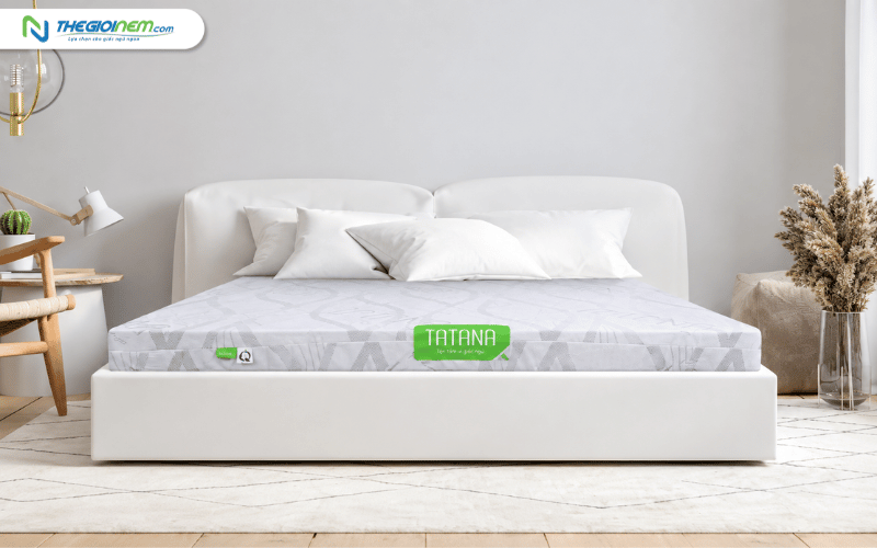 Nệm cao su thiên nhiên TATANA Standard