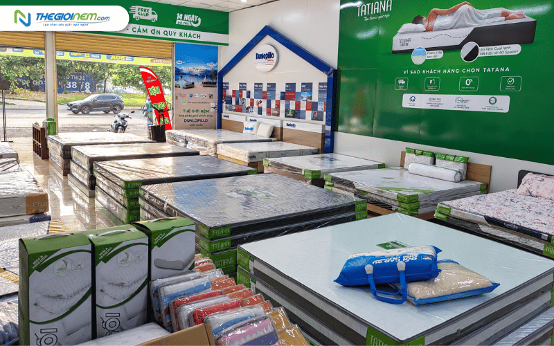 Các dòng nệm chính hãng bán tại phường Phước Long