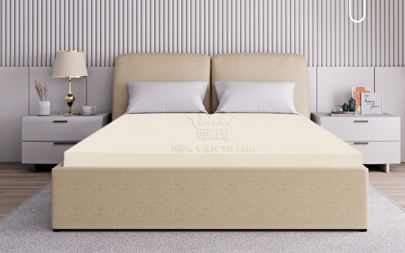 Đệm cao su thiên nhiên Vạn Thành Standard