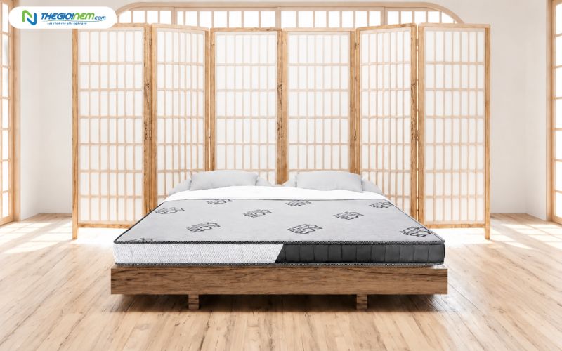 Nệm foam ACB