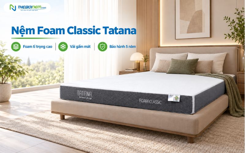 Nệm Foam Classic Tatana
