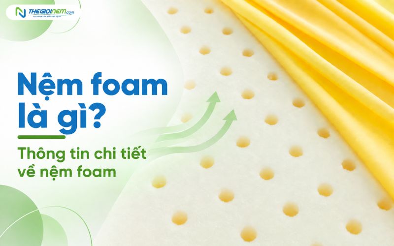 Nệm foam là gì? Tìm hiểu thông tin về nệm foam