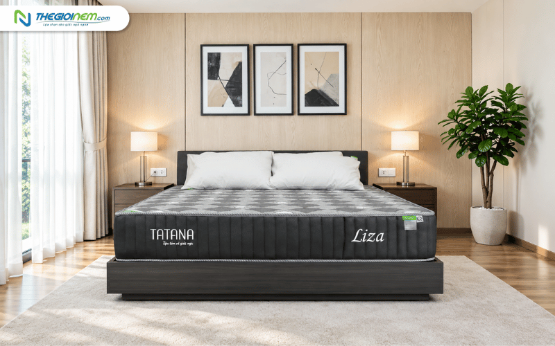 TATANA Nệm lò xo liên kết Liza