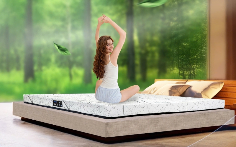 Nệm cao su nhập khẩu Dunlopillo Herit 10cm