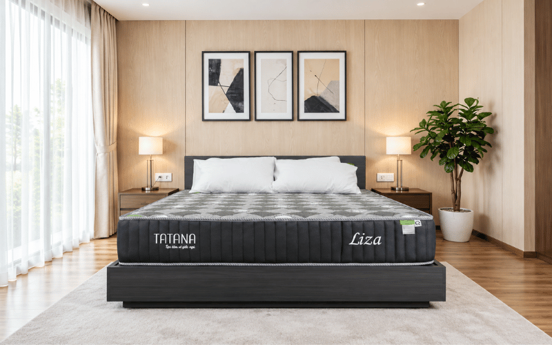 TATANA Nệm lò xo liên kết Liza