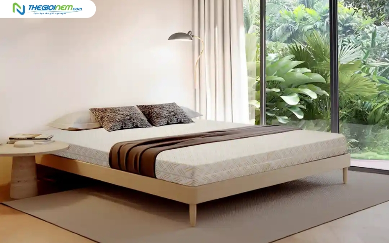 Nệm cao su thiên nhiên Kim Cương giá tốt tại Biên Hòa