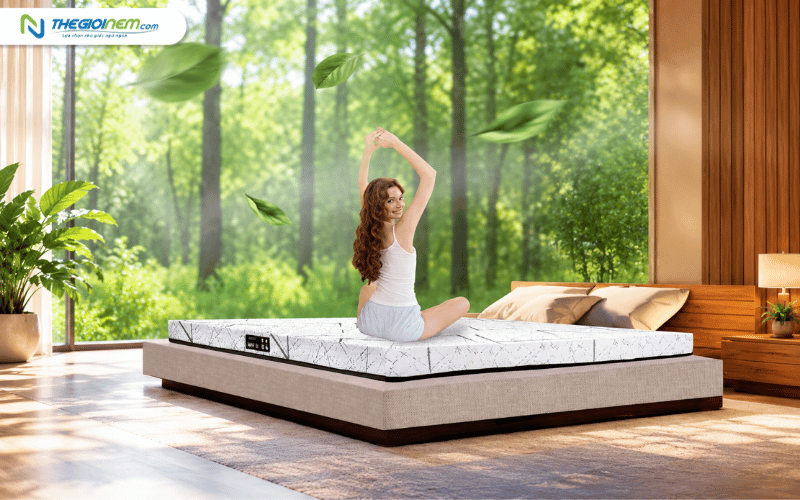 Nệm cao su nhập khẩu Dunlopillo Herit
