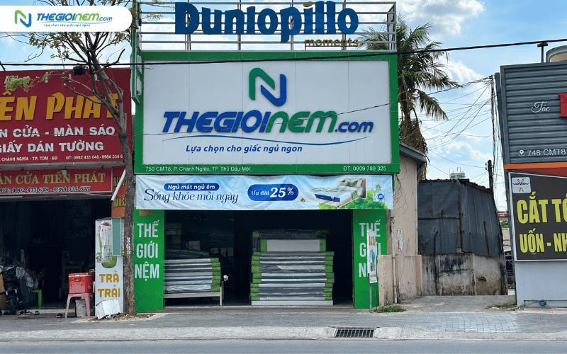 Thế Giới Nệm Thủ Dầu Một Tp Hồ Chí Minh