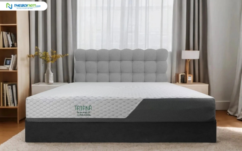 Nệm foam chính hãng tại Phường Phú Thủy, Lâm Đồng