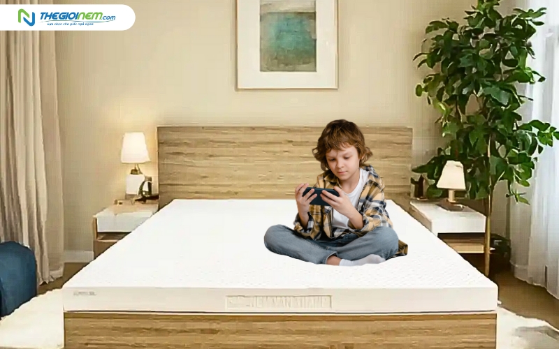 Mẫu nệm cao su tại Thế Giới Nệm