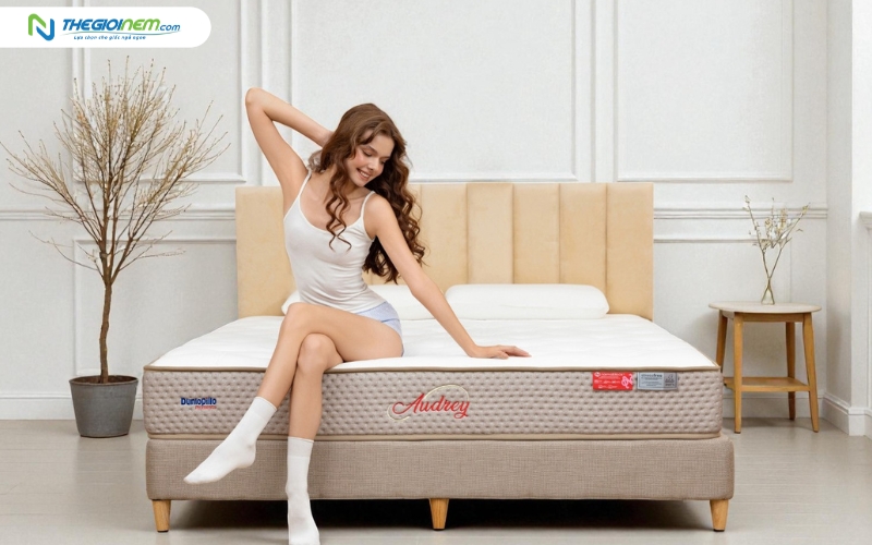 Nệm lò xo chính hãng với lớp tiện nghi và cấu trúc nâng đỡ