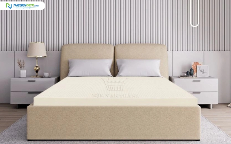 Dòng nệm Vạn Thành Standard