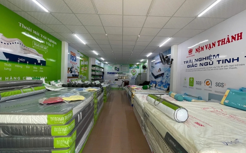 Các dòng nệm cao su chính hãng được trưng bày tại cửa hàng nệm ở Nha Trang.