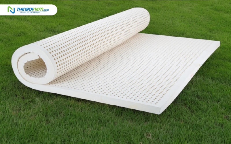 Nệm cao su có độ đàn hồi nâng đỡ cơ thể