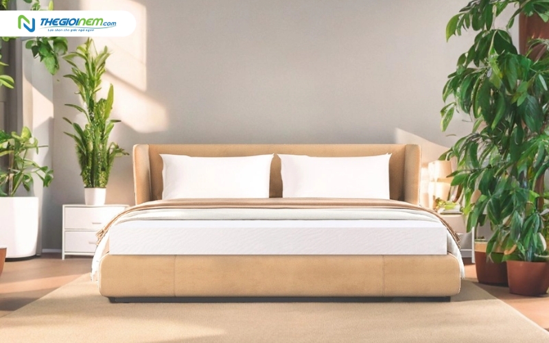 Nệm cao su kích thước 1m2 x 2m với bề mặt và cấu tạo lõi được giới thiệu rõ ràng.