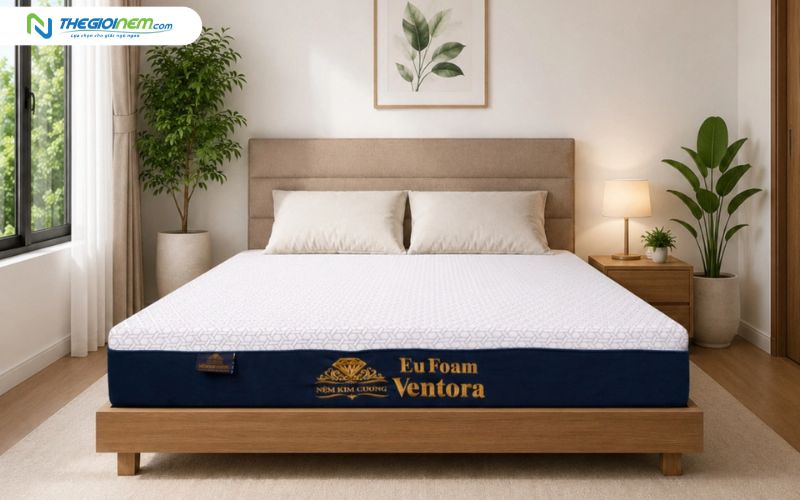 Nệm Kim Cương Eufoam Ventora