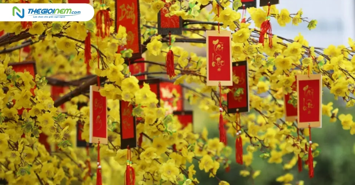Ý nghĩa hoa mai ngày Tết trong văn hóa người Việt