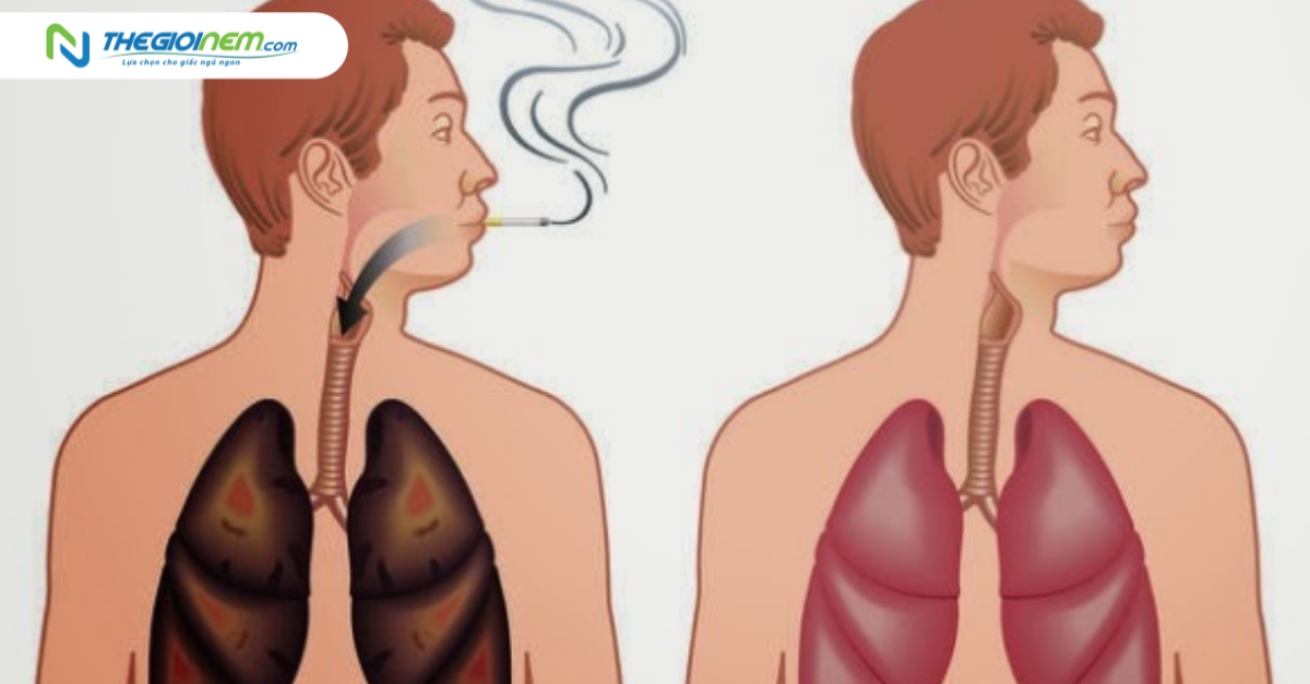 8 cách giúp phổi khỏe mạnh