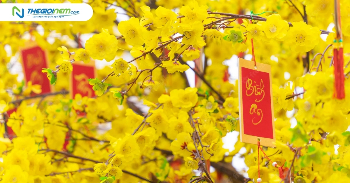 Ý nghĩa hoa mai ngày Tết trong văn hóa người Việt