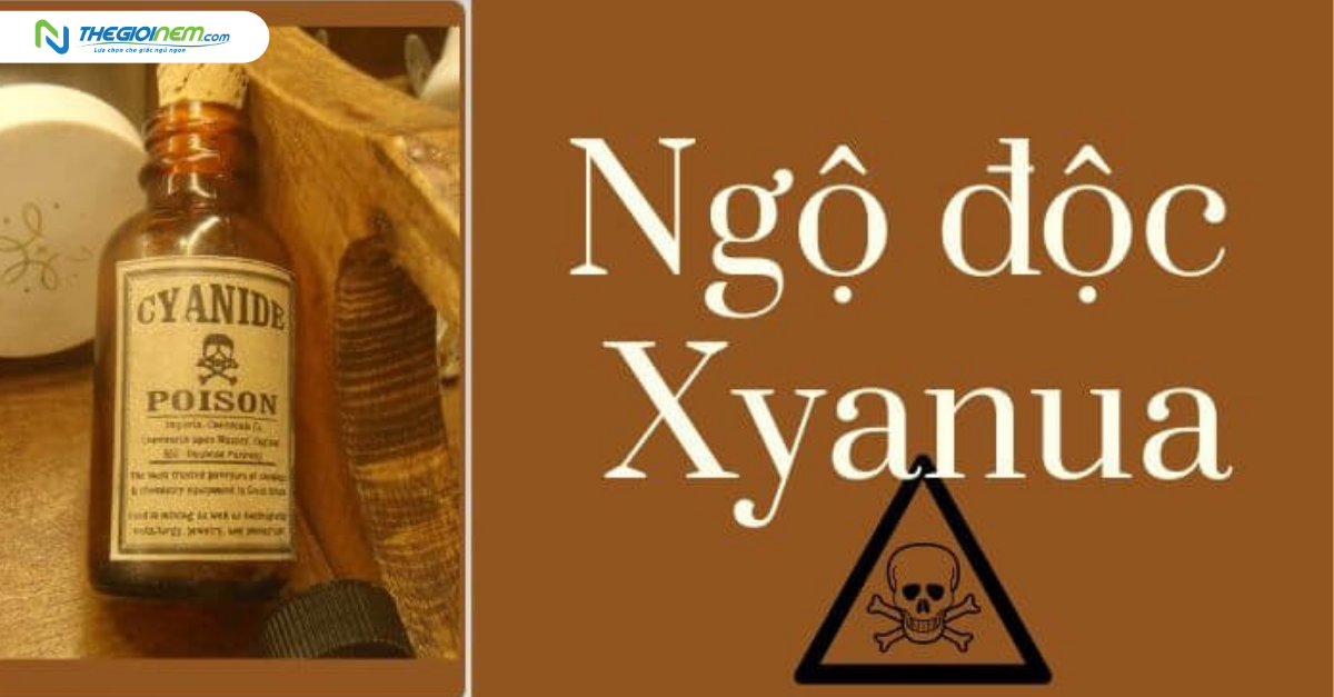 Xyanua là gì? Các thực phẩm quen thuộc có chứa xyanua