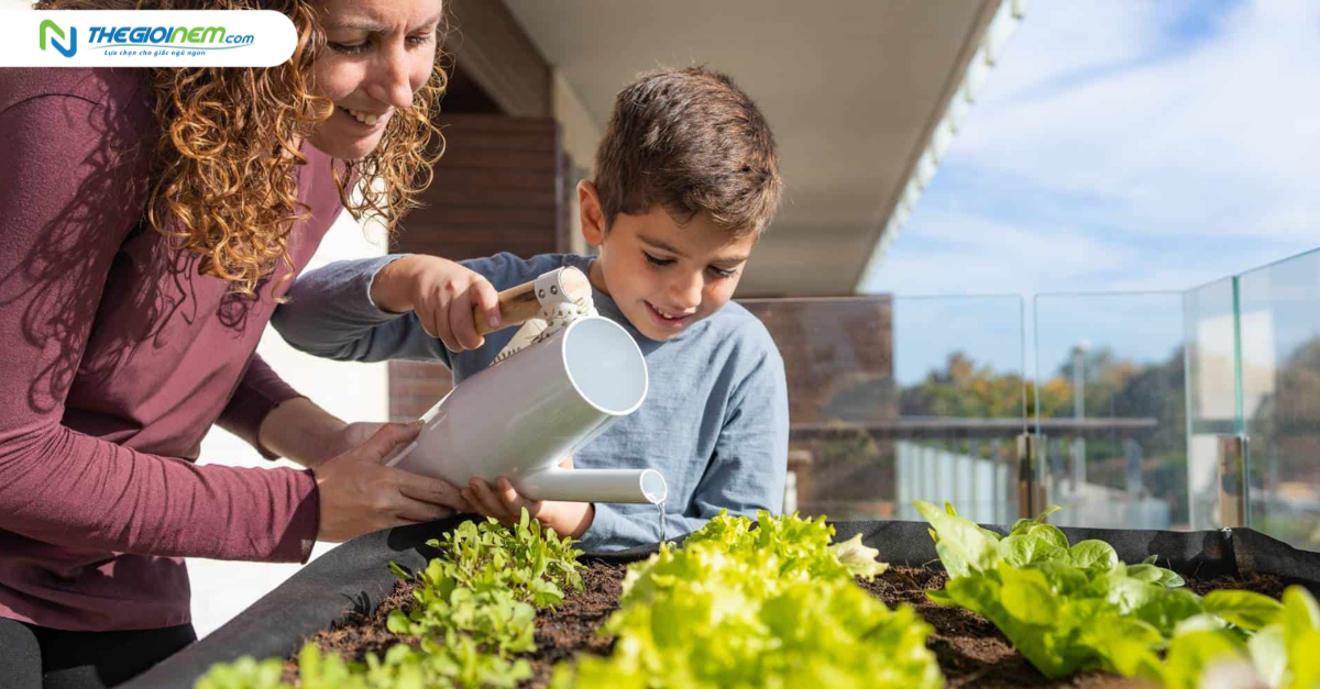 Làm vườn giúp ngủ ngon và cải thiện tinh thần