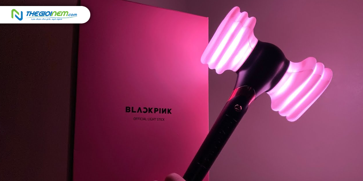 9 món đồ cần bỏ túi khi đi Concert Blackpink 7