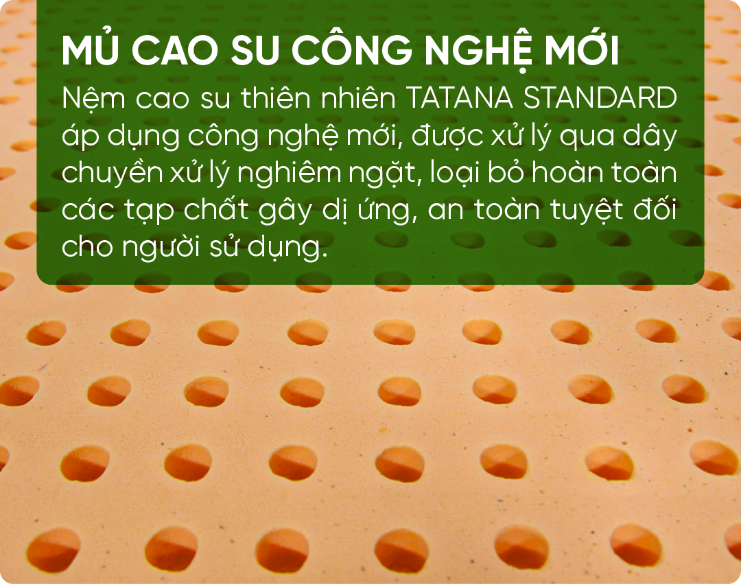 Nệm Cao Su Thiên Nhiên Tatana Standard