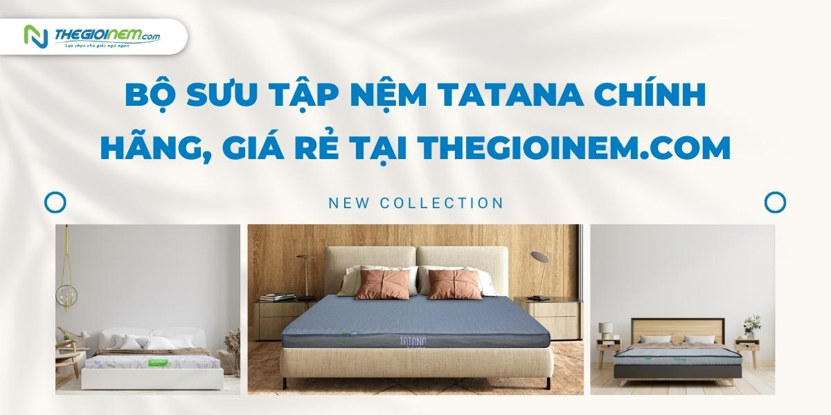 Bộ sưu tập nệm Tatana chính hãng, giá rẻ tại Thegioinem.com