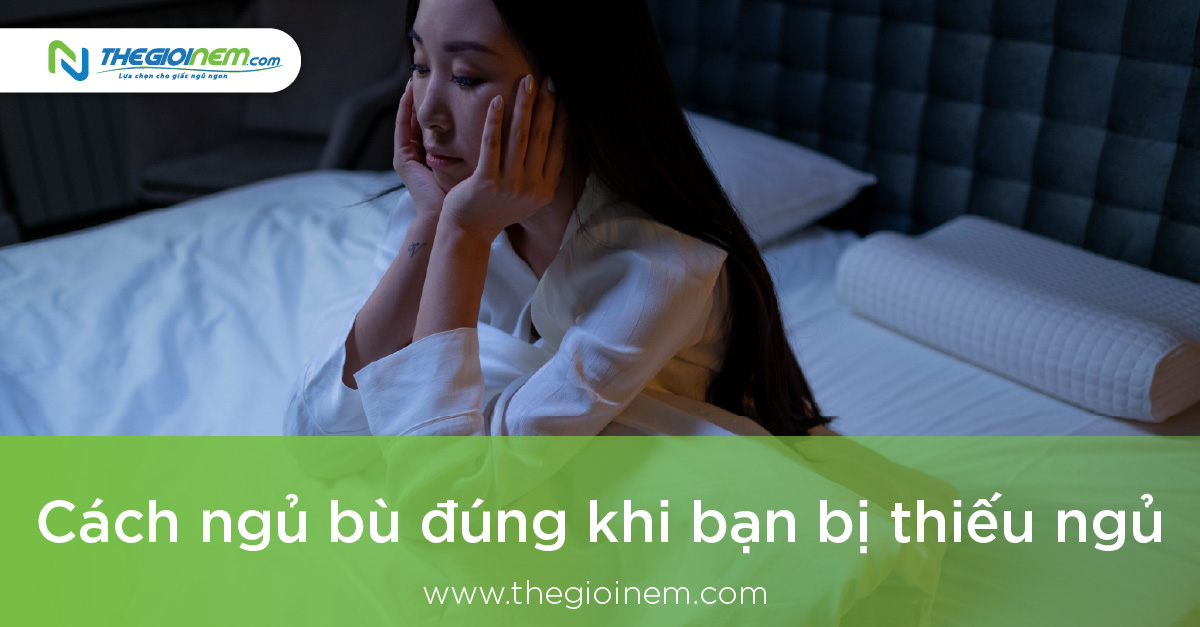 Cách ngủ bù đúng khi bạn bị thiếu ngủ | Thegioinem.com 1