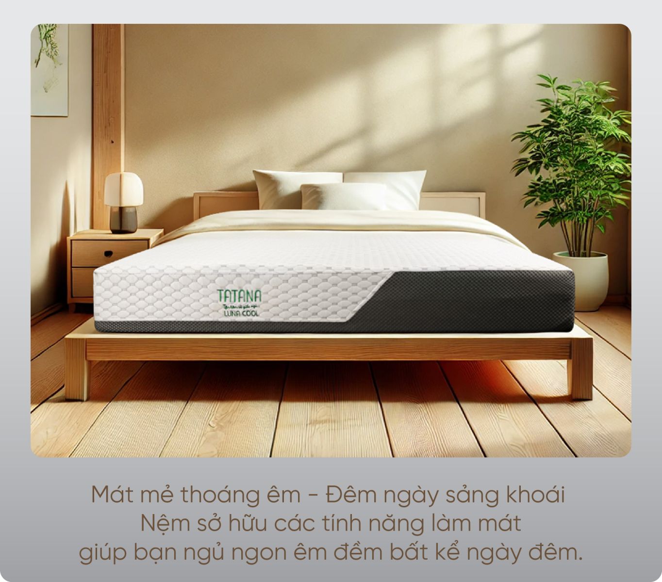 Nệm Foam Luna Cool Tatana